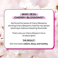 Innisfree Jeju Cherry Blossom Jelly Cream 50 ml.-K-LAB-BEAUTY